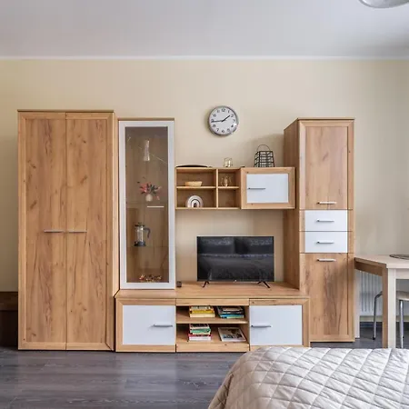 Grizinkalns Residence With Free Parking Riga Exterior photo