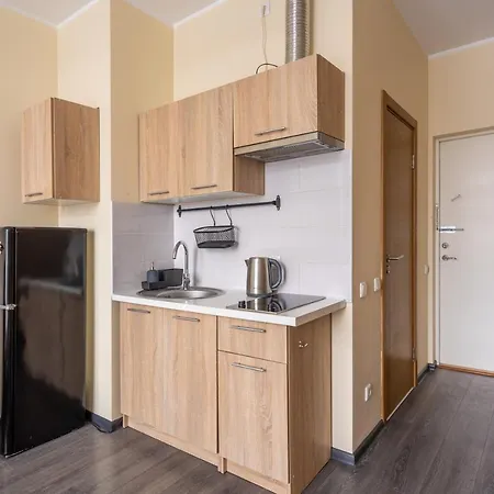 Grizinkalns Residence With Free Parking Riga Exterior photo
